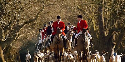 Boxing Day: foxhunting