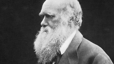 Charles Darwin, carbon print photograph by Julia Margaret Cameron, 1868.