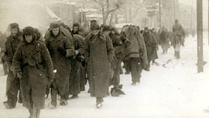 Learn about the horrible conditions of German and Soviet prisoners of war during World War II
