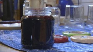 See how elderberry jelly is made