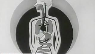 Tobacco and the Human Body: Part 2 (1954)