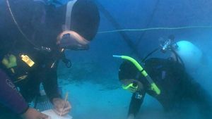 Learn about an underwater archaeological expedition at the Mediterranean