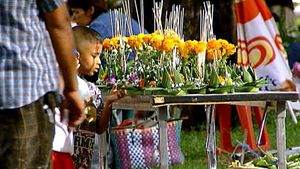 Observe as Thailand celebrates Loy Krathong - the traditional festival of lights