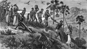 Study the history of the African slave trade and its economic effect on western Africa, where coastal states became rich and powerful while savanna states were destabilized as their people were taken captive