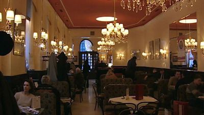 Know the history and culture of Viennese coffeehouses