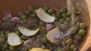 Learn how olive oil is processed in Andalusia, Spain