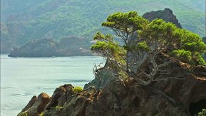 Learn about the Scandola Nature Reserve located on the island of Corsica and the strict patrolling done by the rangers