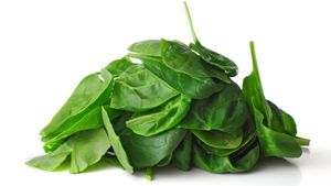 See how carbon nanoparticles painted onto spinach can alert authorities to a potential bomb