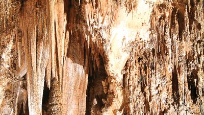 Stalactites and stalagmites in the Queen's Chamber, Carlsbad Caverns National Park, southeastern New Mexico.